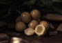 Tradicional marca de chocolates de Gramado lança produtos com notas de ambrosia, pudim e doce de leite