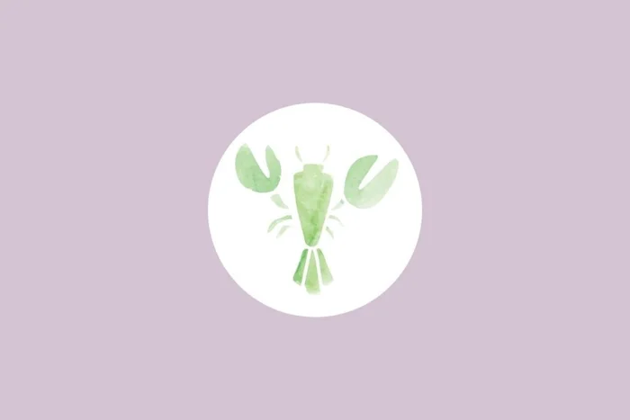 NotionPic / Shutterstock | Portal EdiCase NotionPic / Shutterstock | Portal EdiCase