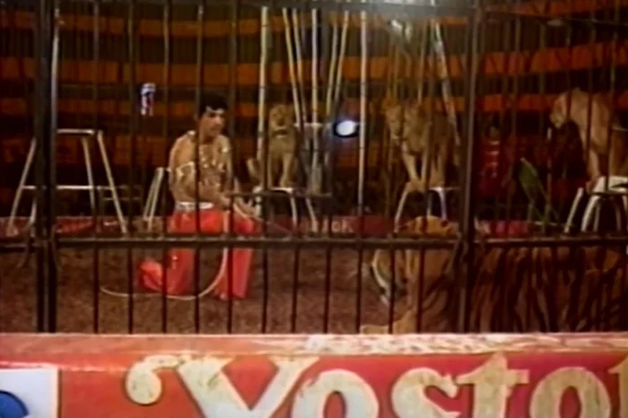 RBS TV / Reprodução RBS TV / Reprodução