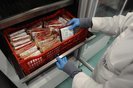 CAXIAS DO SUL, RS, BRASIL, 15/06/2023. A reportagem foi até o Hemocentro de Caxias do Sul acompanhar os processos pelos quais o sangue passa desde o momento da doação até estar pronto para a pessoa que precisa receber. (Bruno Todeschini/Agência RBS)Indexador: BTK<!-- NICAID(15457293) -->