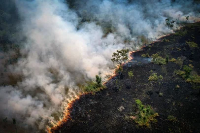 Aerial view of a burnt area in the Amazon rainforest, near the Lago do Cunia Extractive Reserve, on the border of the states of Rondonia and Amazonas, northern Brazil, on August 31, 2022. - Experts say Amazon fires are caused mainly by illegal farmers, ranchers and speculators clearing land and torching the trees. (Photo by DOUGLAS MAGNO / AFP)Editoria: DISLocal: Porto VelhoIndexador: DOUGLAS MAGNOSecao: fireFonte: AFPFotógrafo: STR<!-- NICAID(15194268) -->