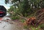 Temporal causa estragos em sete municípios do norte e noroeste do Estado