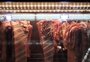 Preço da carne bovina cai 16% no RS em 2023