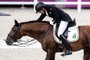 João Victor Oliva, Lusitano Escorial Horsecampline