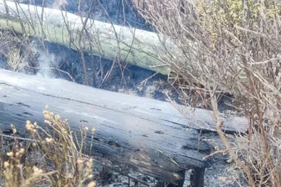 RS, BRASIL - 06/10/2022: Postes da CEEE caíram na Estrada do Herval, entre Dom Feliciano e Encruzilhada do Sul<!-- NICAID(15228562) -->