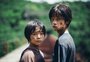 Drama japonês "Monster" e outros dois longas estreiam nesta semana em Caxias