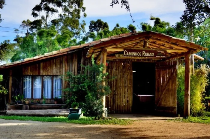 Divulgação / Divulgação