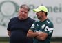 Palmeiras se manifesta contra a paralisação do Brasileirão: "Tragédia será superada com trabalho"