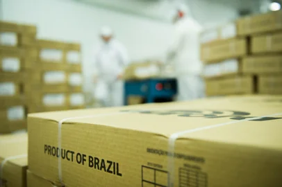 Embarques de carne suína brasileira alcançam volume recorde em 2020<!-- NICAID(14683774) -->