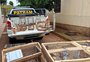 Polícia resgata pássaros silvestres mantidos em cativeiro em Vila Maria