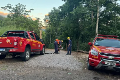 O Corpo de Bombeiros Militar (CBMRS) realiza operação de buscas a pessoa desaparecida (Daniela Bolson).Em apoio à Polícia Civil o CBMRS realiza buscas com binômio (cão de buscas e cinotécnico) e com Drone em região onde foi encontrado o carro da vítima às margens da BR116 no município de Campestre da Serra.CBMRS - 5º Batalhão de Bombeiro Militar.<!-- NICAID(15943384) -->