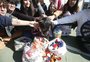 Estudantes arrecadam tampas de garrafas PET para financiar castração de animais em situação de rua