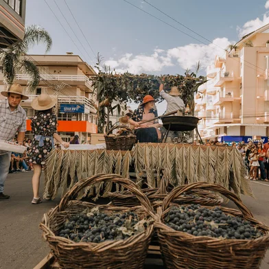 A 15ª Festa Nacional da Vindima de Flores da Cunha celebra o centenário de emancipação política. Para contar a história da cidade um desfile de alegóricos será atração e, poderá ser acompanhando pela comunidade no mesmo padrão realizado nas primeiras edições. O público terá três oportunidades para assistir o desfile, no dia 25 de fevereiro, às 15h, dia 2 de março, às 19h30min e, no domingo, às 10h.  <!-- NICAID(15661370) -->