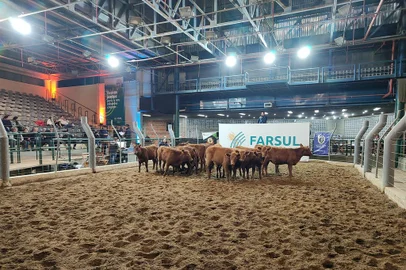 Leilão da Farsul, na Expoleite e Fenasul, em Esteio<!-- NICAID(15432644) -->