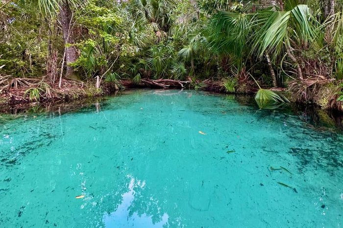 Carolina Klóss / agência RBS