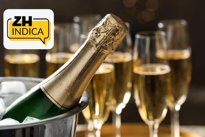 Reprodução / adobe.stock.com Reprodução / adobe.stock.com