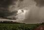 Gisele Loeblein: El Niño pode estar se aproximando do seu auge; veja qual o impacto na agricultura