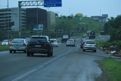 PORTO ALEGRE, RS, BRASIL, 02/10/2024- Perigos para os pedestres que caminham na RS-239. Foto: Ronaldo Bernardi / Agencia RBS<!-- NICAID(15880891) -->