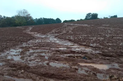 Lavoura em estágio de germinação é atingida por temporal em Santiago<!-- NICAID(16063592) -->