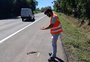 Rodovias concedidas na Serra e no Vale do Caí têm mais de mil registros de animais atropelados em oito meses