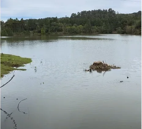 Famílias são retiradas de área de risco e aulas seguirão suspensas em escola diante de risco em barragem de São Marcos | Pioneiro