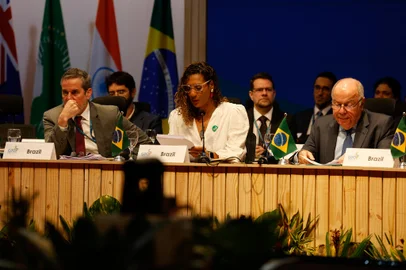 O ministro das Relações Exteriores, Mauro Vieira, e a ministra da Igualdade Racial, Anielle Franco, participam da sessão "Combate às desigualdades e cooperação trilateral", reunião ministerial de Desenvolvimento do G20. Foto: Tânia Rêgo/Agência Brasil<!-- NICAID(15820977) -->