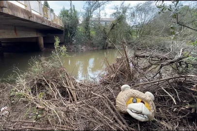 Descarte irregular transforma terrenos e margens de rios em depósitos de lixo em Passo Fundo<!-- NICAID(16348006) -->