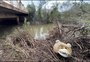 Descarte irregular transforma terrenos e margens de rios em depósitos de lixo em Passo Fundo