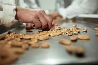 Exportações brasileiras de noz-pecã crescem 600% e estimulam ampliação do parque industrial na maior região produtora do país<!-- NICAID(15293105) -->