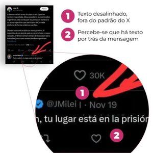 Projeto Comprova / Divulgação