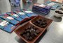 Cacau de comunidades ribeirinhas e Yanomami vira chocolate fino na Amazônia