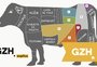 VÍDEO: os cortes de carnes mais usados no churrasco e suas peculiaridades