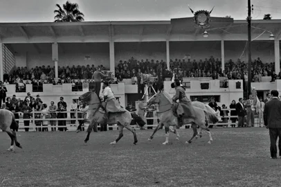 Exposição Estadual de Animais e Produtos Derivados, no Parque de Exposições Menino Deus, em 1969.A 32ª edição foi a última realizada no  Bairro Menino Deus, em Porto Alegre.Em 1970 foi transferida para Esteio, dando origem a atual Expointer, no Parque de Exposições Assis Brasil.-#ENVELOPE: 59531-<!-- NICAID(15847940) -->
