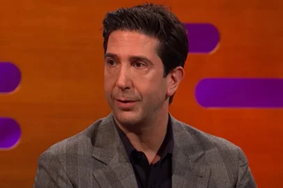 David Schwimmwer<!-- NICAID(15869124) -->