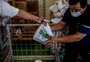 Desigualdade na pandemia atinge máxima da série histórica