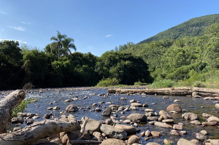 Rosane Tremea / Arquivo Pessoal