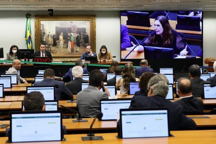 Najara Araújo / Câmara dos Deputados Najara Araújo / Câmara dos Deputados