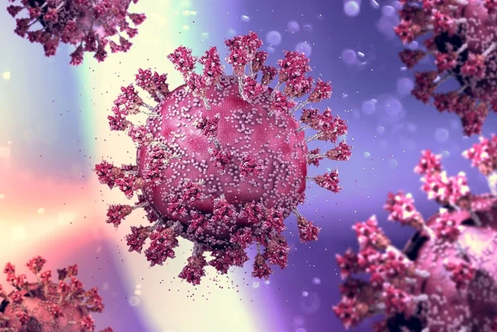 Naeblys / Shutterstock | Portal EdiCase Naeblys / Shutterstock | Portal EdiCase