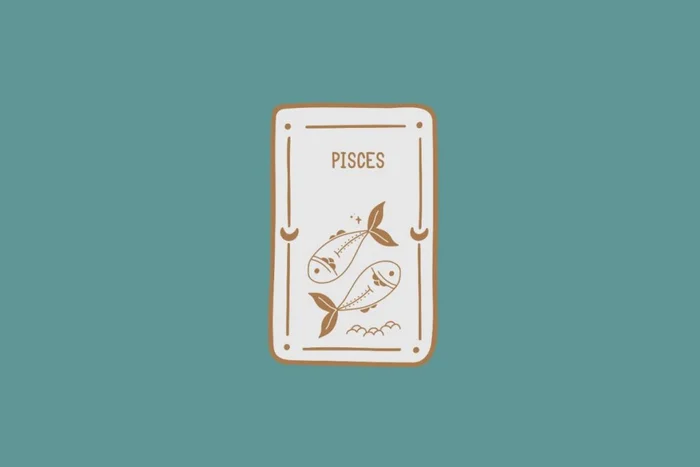 fancykeith / Shutterstock | Portal EdiCase fancykeith / Shutterstock | Portal EdiCase