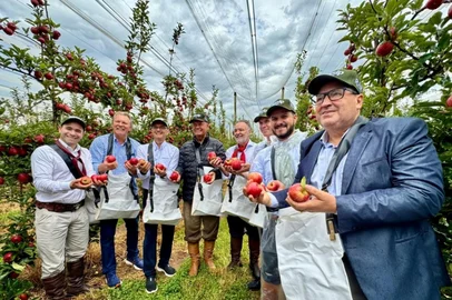 Cassiane Osório / Ascom Seapi A Abertura da Colheira da Maçã 2025/2026 ocorreu neste sábado (7/2), em Vacaria, nos Campos de Cima da Serra.<!-- NICAID(16221043) -->