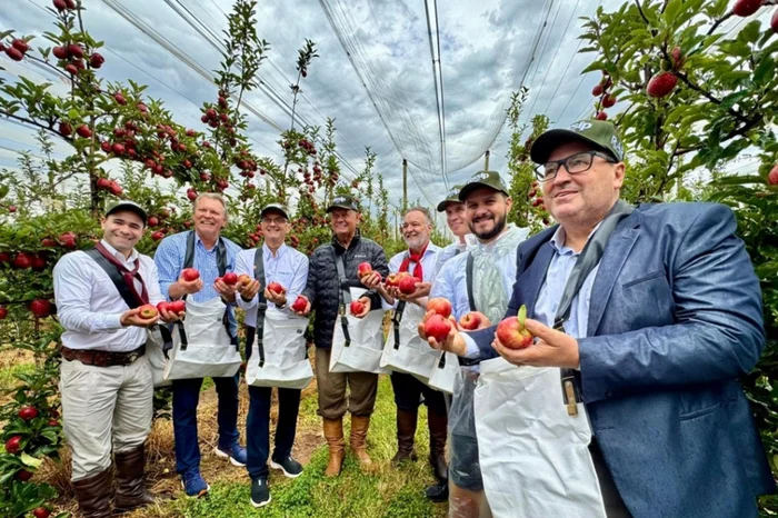 Cassiane Osório / Ascom Seapi