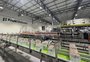 Com R$ 100 milhões, Fruki moderniza fábrica de 55 anos e produção vai a 1 bilhão de litros por ano