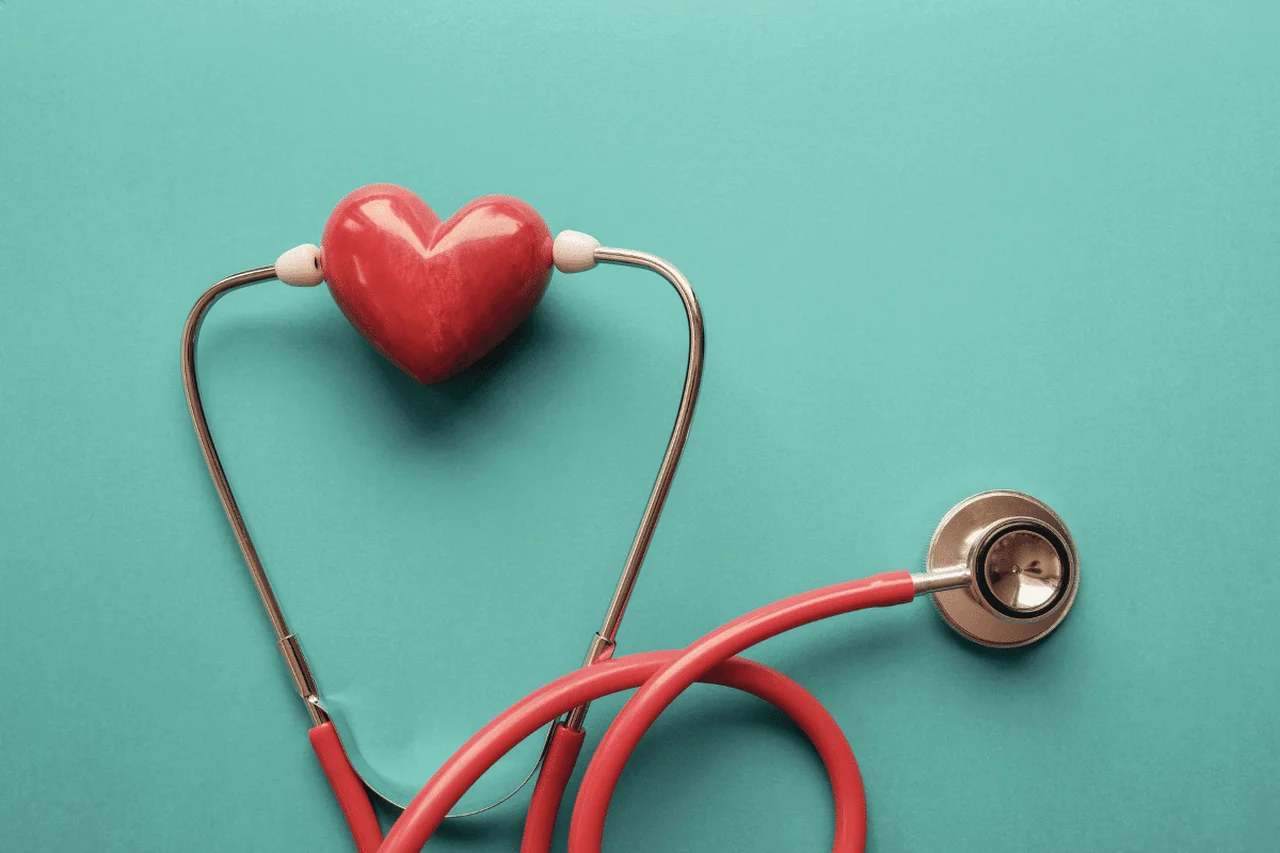 SewCreamStudio/Shutterstock | Portal EdiCase