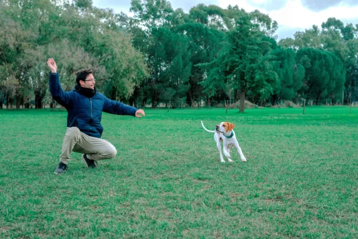 Carla s. Graff / Shutterstock | Portal EdiCase Carla s. Graff / Shutterstock | Portal EdiCase