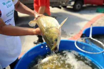 CAXIAS DO SUL, RS, BRASIL, 11/04/2017. A Feira do Peixe Vivo será nos dias 11, 12 e 13 de abril, das 8h às 18h, na Praça das Feiras, no bairro São Pelegrino. Na foto, Rejane de Jesus, 39 anos, trabalha em um Peque e Pague. (Diogo Sallaberry/Agência RBS)<!-- NICAID(12846952) -->