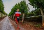 Oitava edição da Maratona do Vinho acontece neste domingo, em Bento Gonçalves