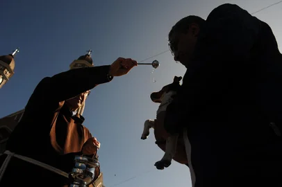 CAXIAS DO SUL, RS, BRASIL, 04/10/2022. O dia de São Francisco de Assis é celebrado nesta terça-feira (4). Para marcar a data, acontece na Igreja dos Capuchinhos, em Caxias do Sul, a bênção dos animais, pelo Frei Jaime Bettega.  (Bruno Todeschini/Agência RBS)<!-- NICAID(15226304) -->