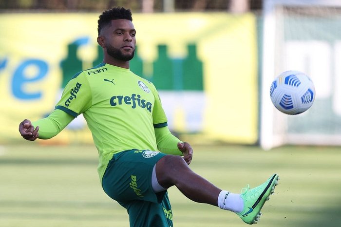 Cesar Greco / Palmeiras/Divulgação