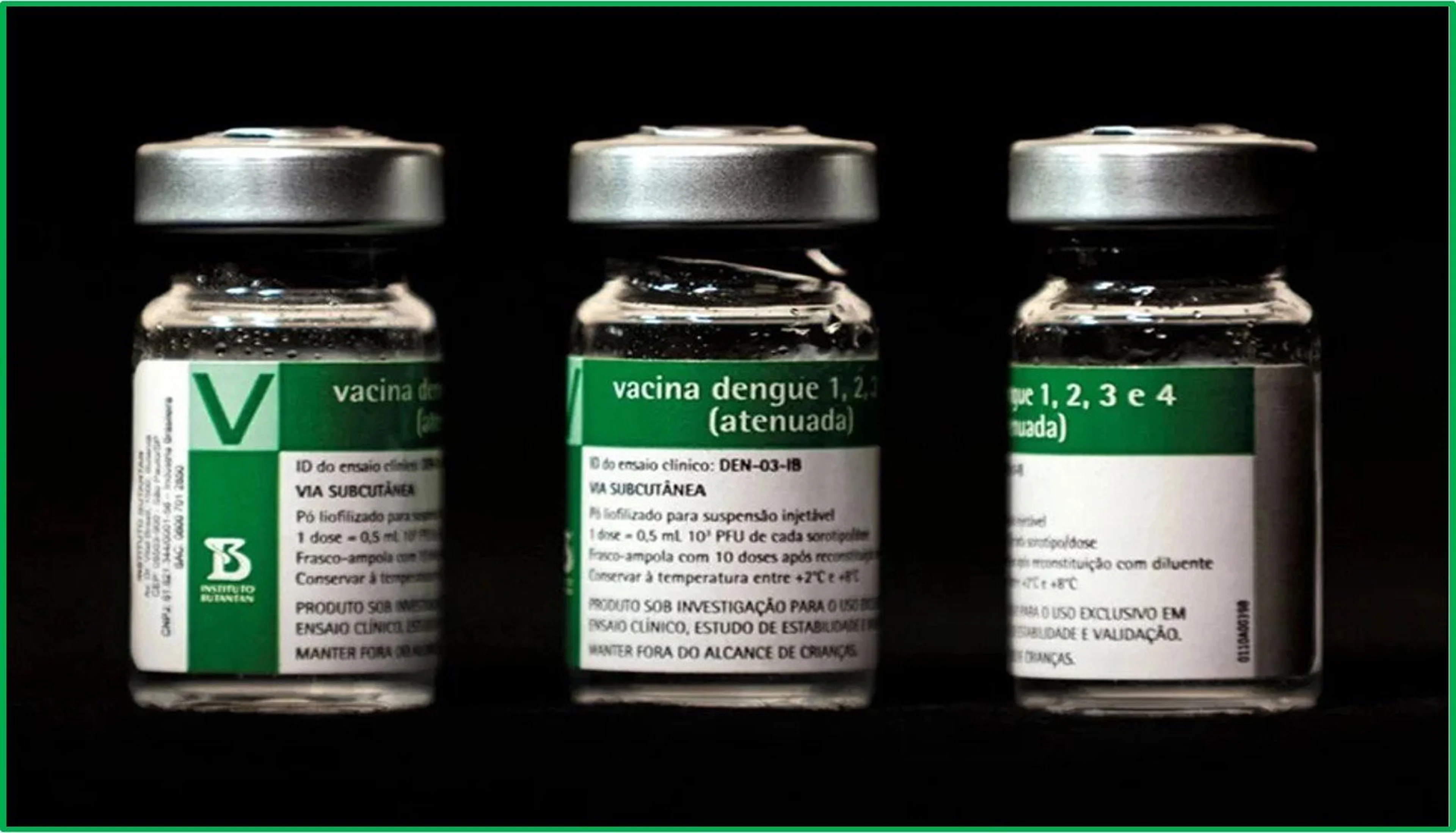 Reprodução/Instituto Butantan