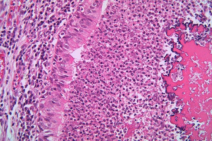 Lisa / stock.adobbe.com